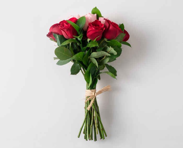 Buquê com 15 Rosas de duas Cores